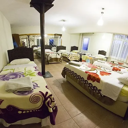 Atillas Getaway 호텔 3*